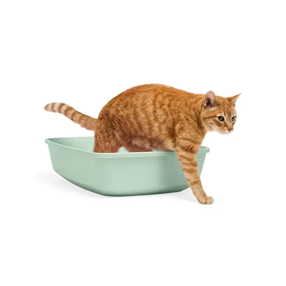 Arenero Ecológico para Gatos