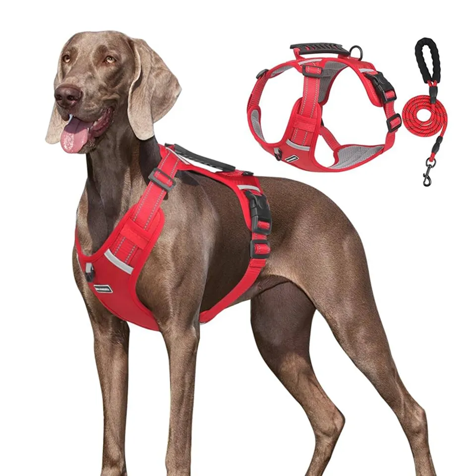 Arnés Reflectante para Perros
